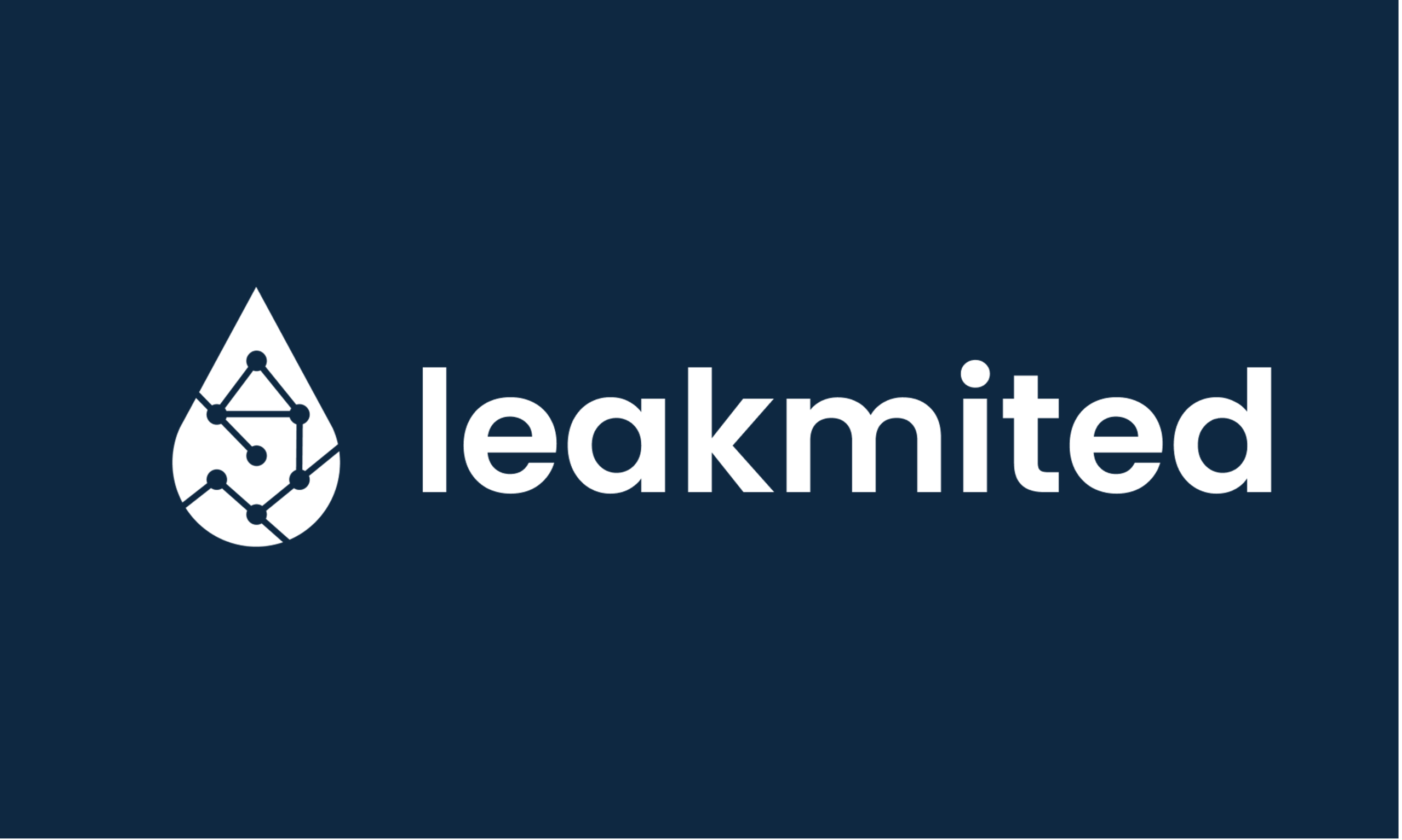 LEAKMITED - SPRINT 1
